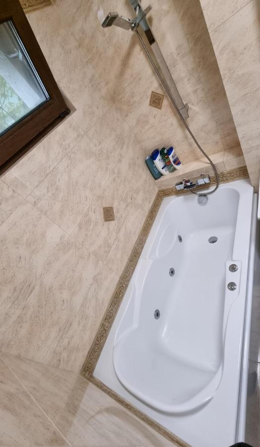 Stone Bridge Apartment Iasi Bagian luar foto