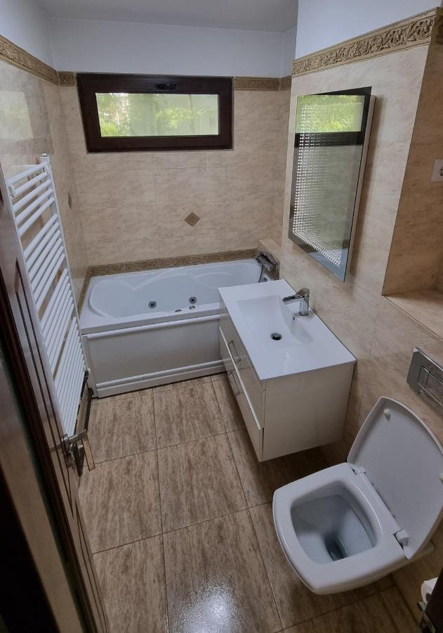 Stone Bridge Apartment Iasi Bagian luar foto